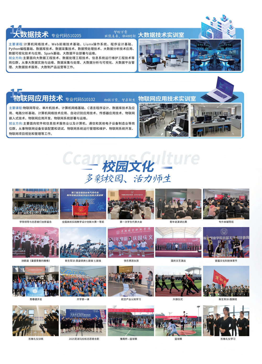 威博体育2025高考招生简章_06(1).png